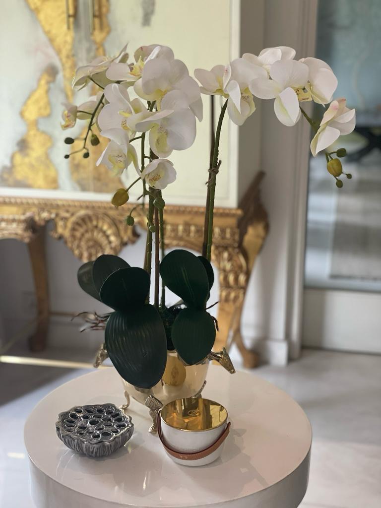 Horse Bucket Orchid Arrangement