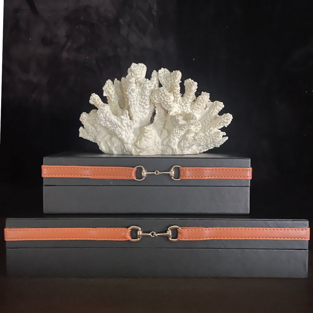 Black Box with Leather Strap
