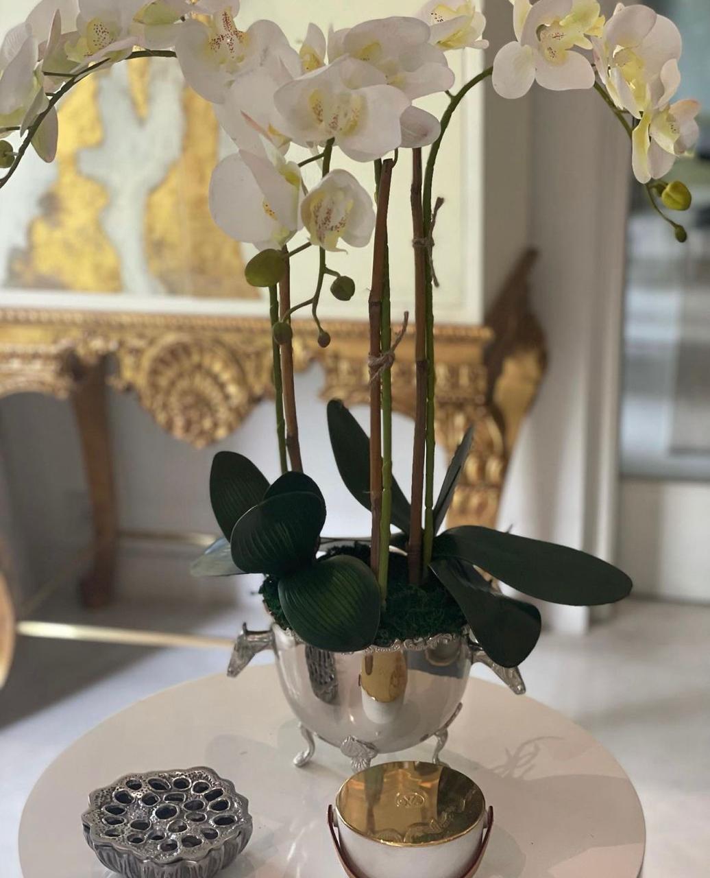 Horse Bucket Orchid Arrangement
