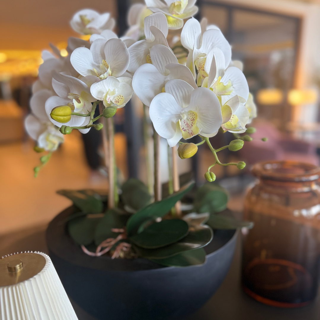 Black Orchid Arrangement