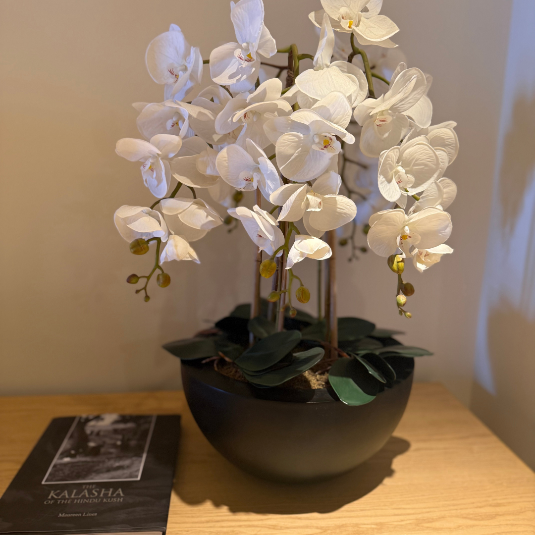 Black Orchid Arrangement