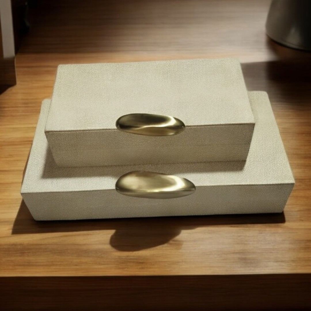 Box with Modern Buckle